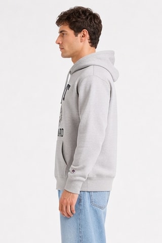 Sudadera con capucha Harvard-MIT Health Sciences and Technology - Gris