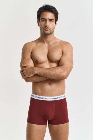 3 parigamba in cotone bio - Bordeaux