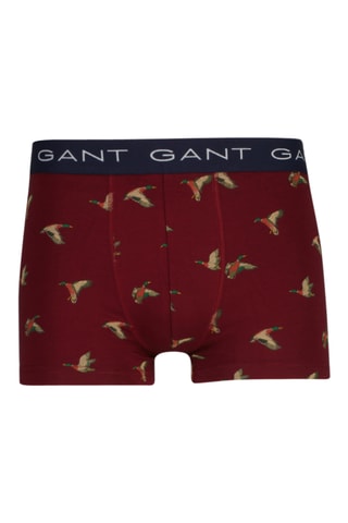 3 parigamba - Navy e bordeaux