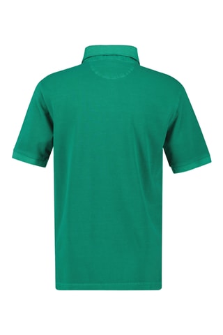 Polo - Verde