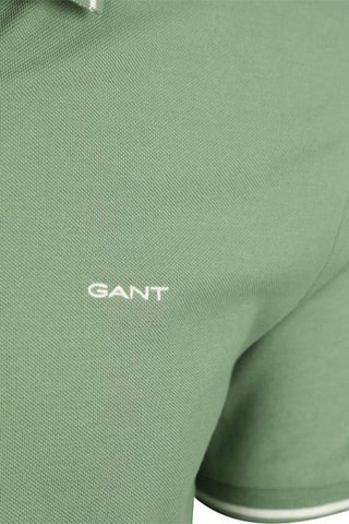 Polo - Verde