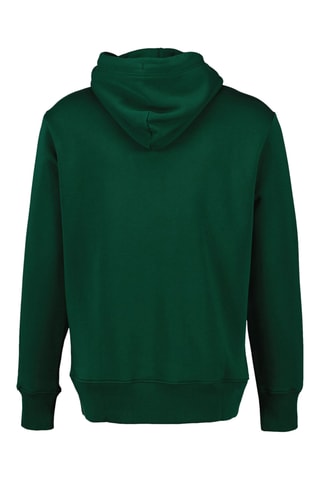 Felpa con cappuccio - Verde