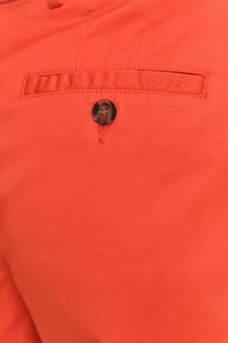 Shorts in cotone bio - Arancione