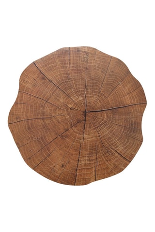 12 individuais de mesa Trunk - 38 x 2 cm - Castanho