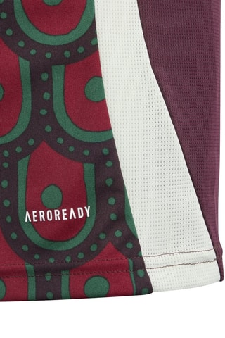 Maillot de football Mexique - Bordeaux et vert foncé