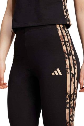 Legging d’entraînement taille haute Seasonals - Noir