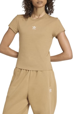 T-shirt slim Wardrobe Classic Essentials - Marron
