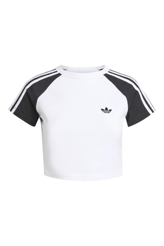 T-shirt tight Adicolor - Blanc