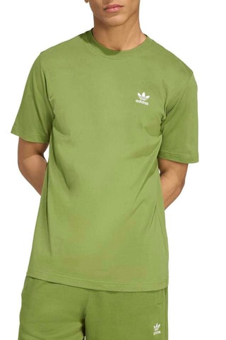 T-shirt regular Wardrobe Classic Essentials - Vert olive