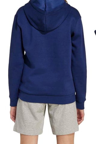 Sweat à capuche Seasonals - Bleu roi
