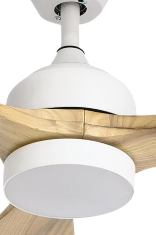 Ventilator met Ledplafondlamp Calar - 75 cm