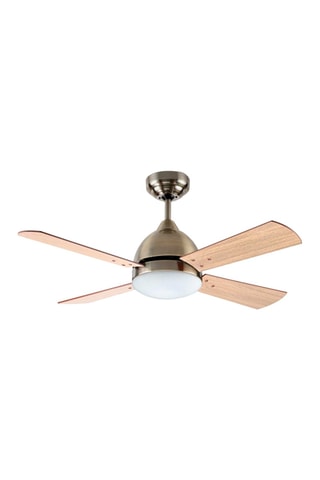 Ventilator met Ledplafondlamp Bornéo - 106 cm