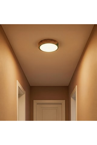 Plafón LED - Verde - 15,2 W