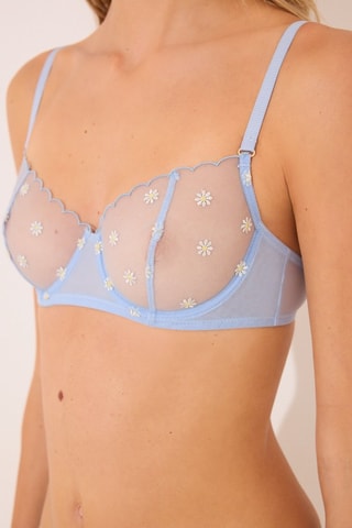 Reggiseno - Celeste
