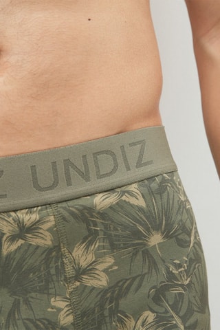 Boxers Repeatiz - Verde