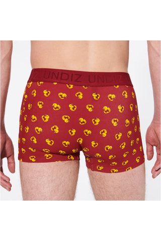 Boxers Repeatiz - Bordô