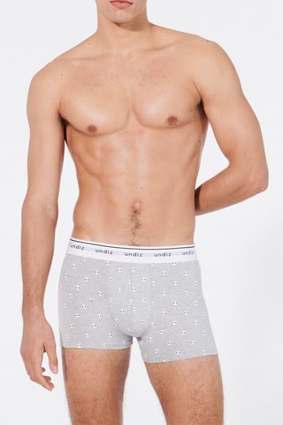 Boxers Boxeruniz-Pixiskulliz - Cinzento-claro mesclado