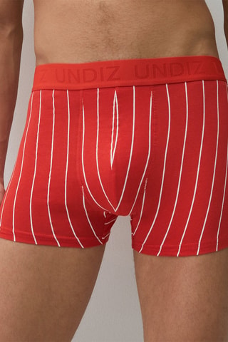 Boxers Repeatiz Lignrougiz Laranja