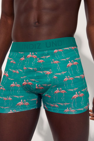 Boxers - Verde-água