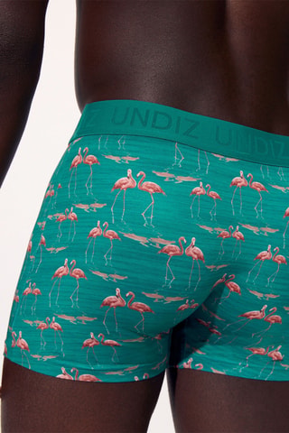 Boxers - Verde-água