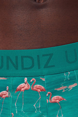 Boxers - Verde-água