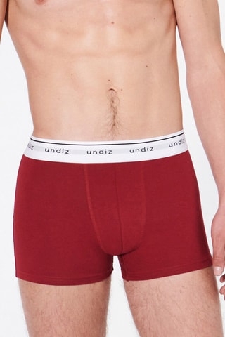 Boxers - Bordô