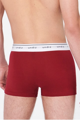 Boxers - Bordô