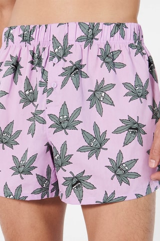 Boxers Cbdiz - Malva
