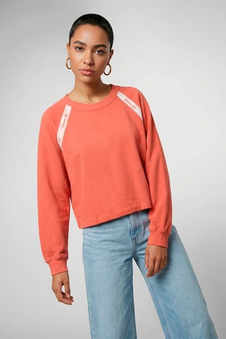 Sweater Estelle - Bruin