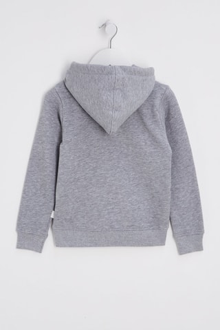 Sweat  à capuche Little Charly - Gris chiné