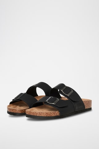 Mules - Anthracite
