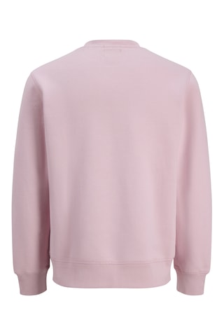 Sweat en coton biologique - Mauve