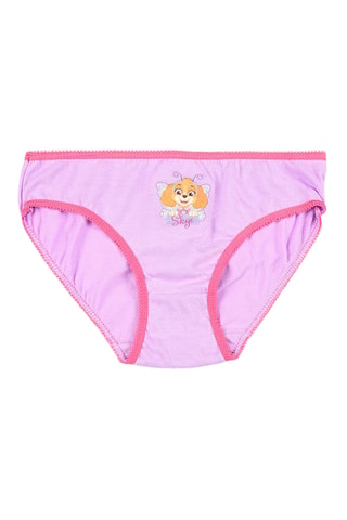 3 bragas Skye La Patrulla Canina - Multicolor