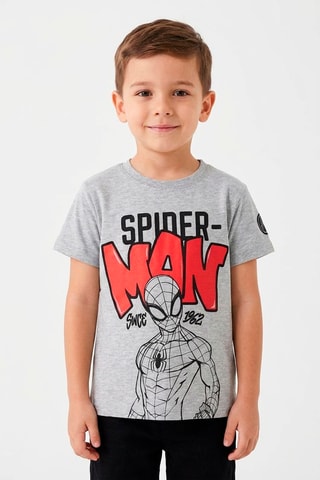 Camiseta Spider-Man Los Vengadores Marvel - Gris