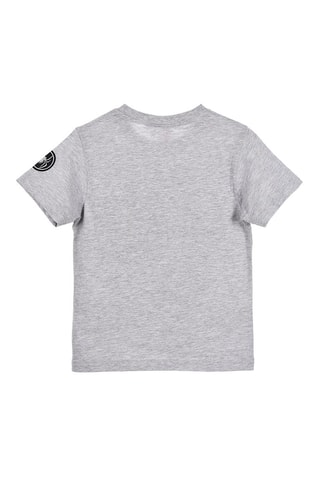 Camiseta Spider-Man Los Vengadores Marvel - Gris