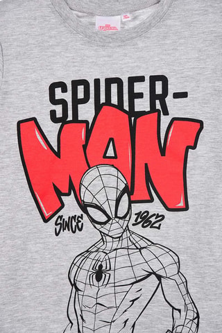 Camiseta Spider-Man Los Vengadores Marvel - Gris