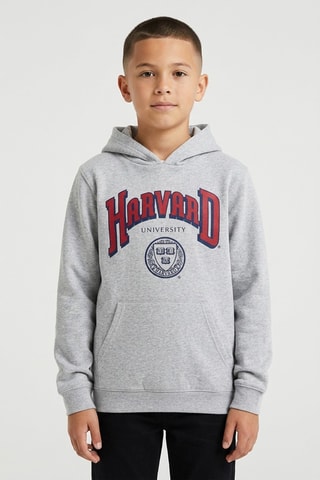 Sudadera con capucha Harvard University - Gris