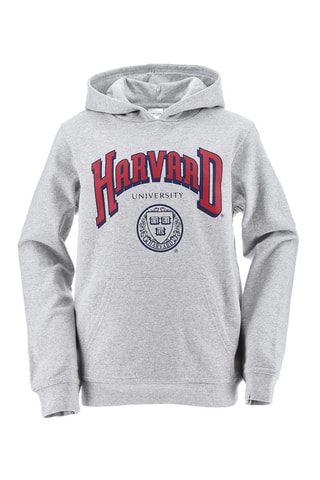 Sudadera con capucha Harvard University - Gris