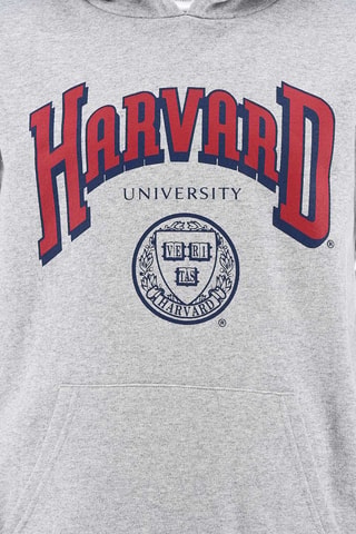 Sudadera con capucha Harvard University - Gris