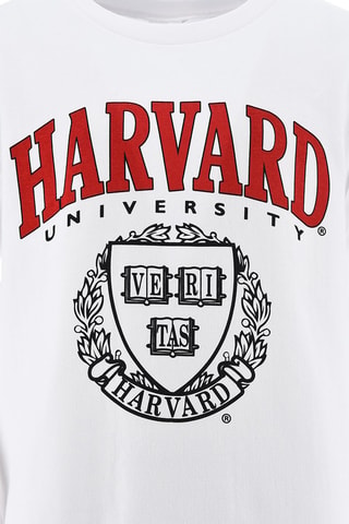 Sudadera Harvard University - Blanco