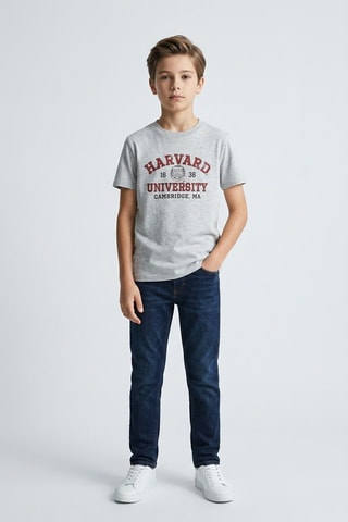 Camiseta Harvard University - Gris