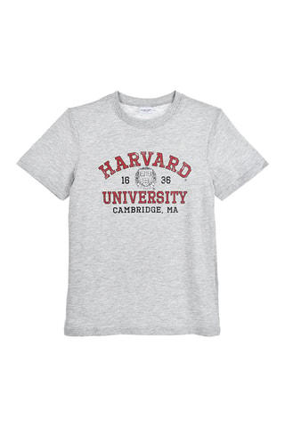 Camiseta Harvard University - Gris