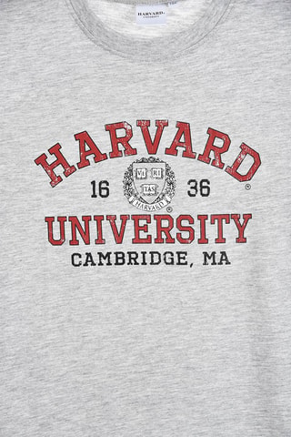 Camiseta Harvard University - Gris