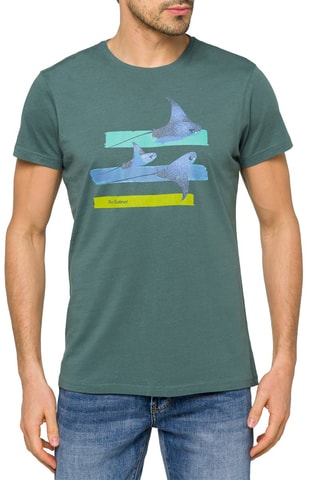 T-shirt Wings - Verde - Verde