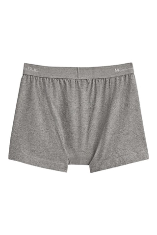 Boxer - Gris