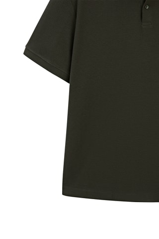 Polo - Caqui