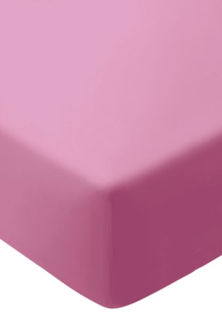 Sábana bajera de satén de algodón 120 hilos/cm² Liso - Rosa