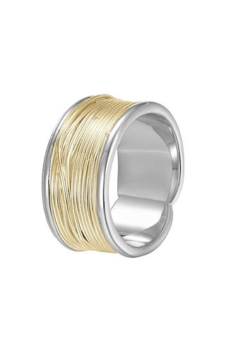 Anillo - Plata y plata chapada en oro amarillo