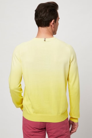 Jersey - Harmont & Blaine - Amarillo y azul