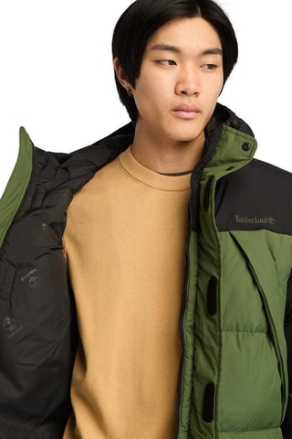 Anorak con capucha - Verde